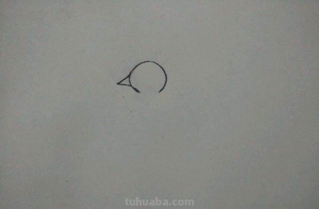 写实彩铅画孔雀怎么画（写实彩铅画孔雀怎么画好看）