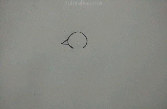 彩铅画绿色孔雀怎么画（彩铅画绿色孔雀怎么画好看）