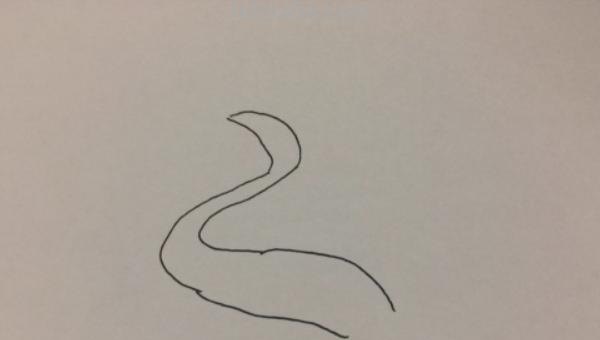 怎么画白鹭思维导图(怎么画白鹭思维导图简单) 怎么画白鹭思维导图(怎么画白鹭思维导图简单)