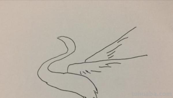 怎么画白鹭思维导图(怎么画白鹭思维导图简单) 怎么画白鹭思维导图(怎么画白鹭思维导图简单)