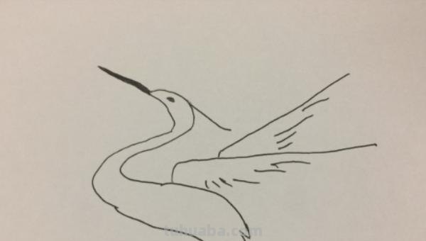 怎么画白鹭思维导图(怎么画白鹭思维导图简单) 怎么画白鹭思维导图(怎么画白鹭思维导图简单)