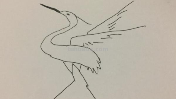 怎么画白鹭思维导图(怎么画白鹭思维导图简单) 怎么画白鹭思维导图(怎么画白鹭思维导图简单)