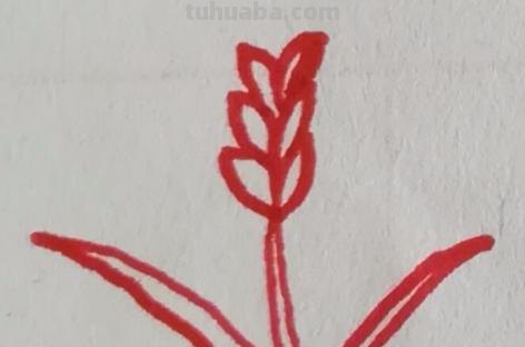 麦子怎么画 简笔画（麦子怎么画简笔画）