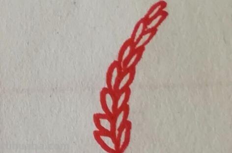麦子怎么画 简笔画（麦子怎么画简笔画）