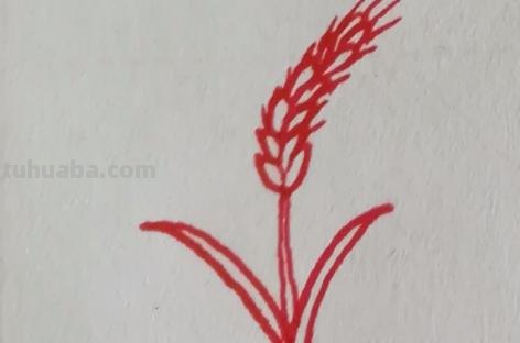 麦子怎么画 简笔画（麦子怎么画简笔画）