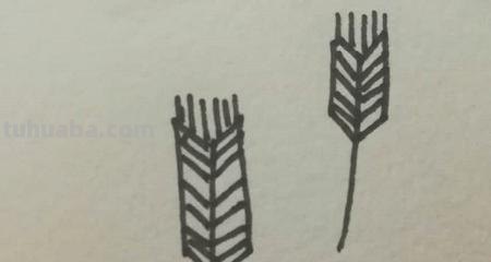 麦子怎么画 简笔画（麦子怎么画简笔画）