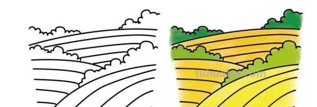 麦子怎么画 简笔画（麦子怎么画简笔画）