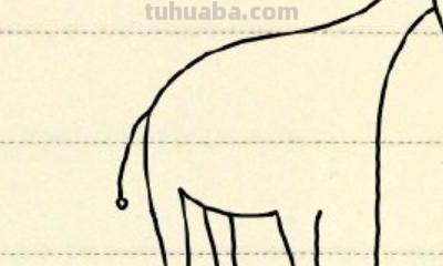 毛驴的彩铅画怎么画(毛驴的彩铅画怎么画好看) 毛驴的彩铅画怎么画(毛驴的彩铅画怎么画好看)