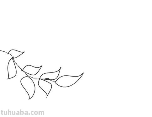 棕子怎么画简笔画（棕子怎么画简笔画图片）