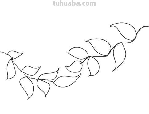 棕子怎么画简笔画（棕子怎么画简笔画图片）