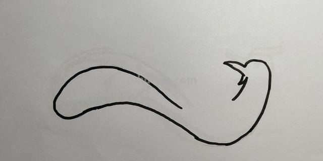 凤凰怎么画图片简笔画（凤凰怎么画图片简笔画大全）