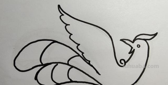 凤凰怎么画图片简笔画（凤凰怎么画图片简笔画大全）