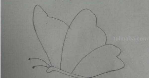 彩铅画蝴蝶 侧面怎么画(彩铅画蝴蝶 侧面怎么画好看) 彩铅画蝴蝶 侧面怎么画(彩铅画蝴蝶 侧面怎么画好看)
