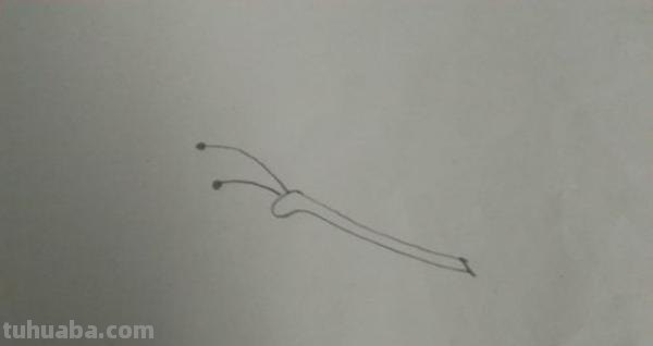 彩铅画蝴蝶 侧面怎么画(彩铅画蝴蝶 侧面怎么画好看) 彩铅画蝴蝶 侧面怎么画(彩铅画蝴蝶 侧面怎么画好看)