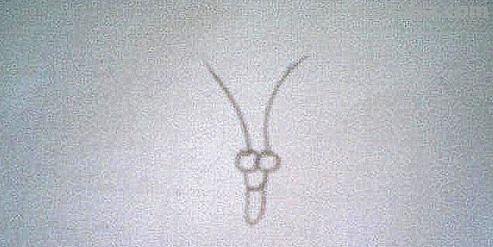 彩铅画蝴蝶 侧面怎么画(彩铅画蝴蝶 侧面怎么画好看) 彩铅画蝴蝶 侧面怎么画(彩铅画蝴蝶 侧面怎么画好看)