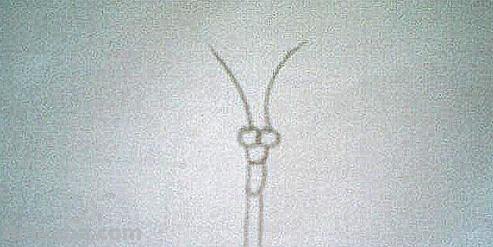 彩铅画蝴蝶 侧面怎么画(彩铅画蝴蝶 侧面怎么画好看) 彩铅画蝴蝶 侧面怎么画(彩铅画蝴蝶 侧面怎么画好看)