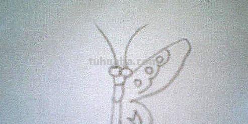 彩铅画蝴蝶 侧面怎么画(彩铅画蝴蝶 侧面怎么画好看) 彩铅画蝴蝶 侧面怎么画(彩铅画蝴蝶 侧面怎么画好看)