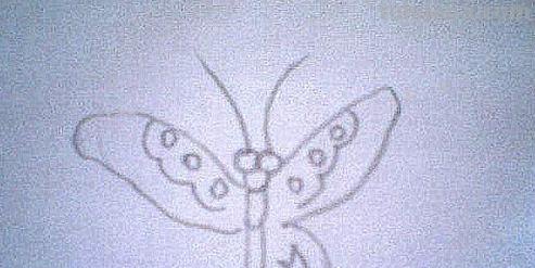 彩铅画蝴蝶 侧面怎么画(彩铅画蝴蝶 侧面怎么画好看) 彩铅画蝴蝶 侧面怎么画(彩铅画蝴蝶 侧面怎么画好看)