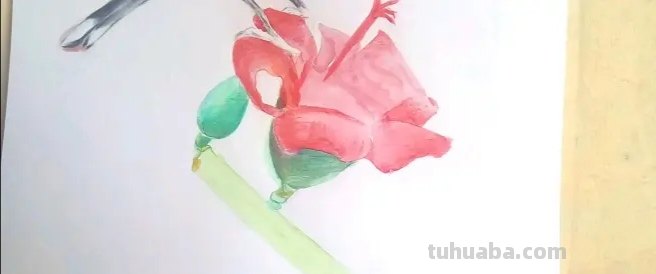 彩铅画国画小鸟怎么画(简单彩铅画小鸟) 彩铅画国画小鸟怎么画(简单彩铅画小鸟)