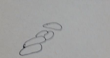 蜻蜓荷花怎么画简笔画（蜻蜓荷花怎么画简笔画图片）