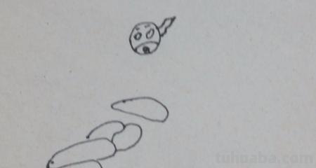 蜻蜓荷花怎么画简笔画（蜻蜓荷花怎么画简笔画图片）