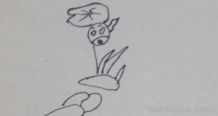 蜻蜓荷花怎么画简笔画（蜻蜓荷花怎么画简笔画图片）