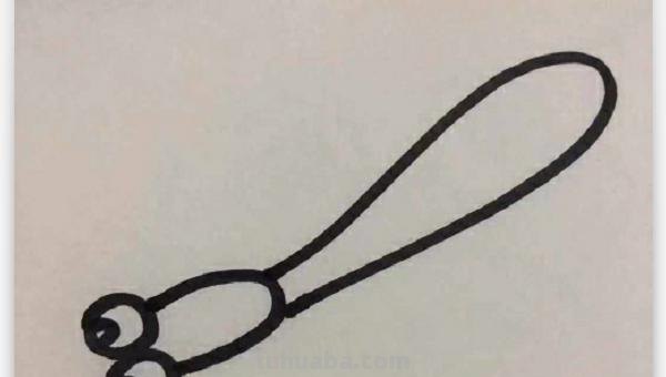 蜻蜓荷花怎么画简笔画（蜻蜓荷花怎么画简笔画图片）