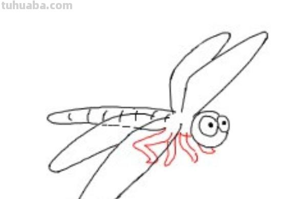 蜻蜓荷花怎么画简笔画（蜻蜓荷花怎么画简笔画图片）