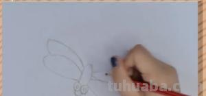 彩铅画荷花 蜻蜓怎么画(彩铅画荷花 蜻蜓怎么画好看) 彩铅画荷花 蜻蜓怎么画(彩铅画荷花 蜻蜓怎么画好看)