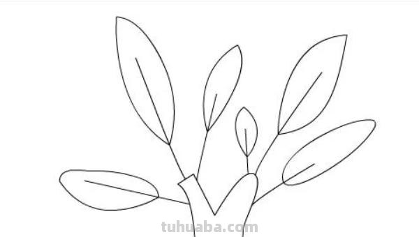 芒果树怎么画简笔画（芒果树怎么画简笔画图片）