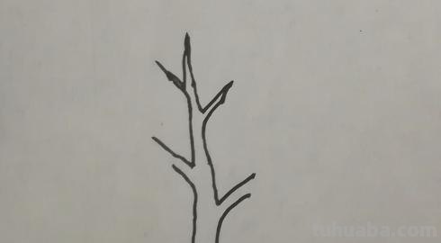 芒果树怎么画简笔画（芒果树怎么画简笔画图片）