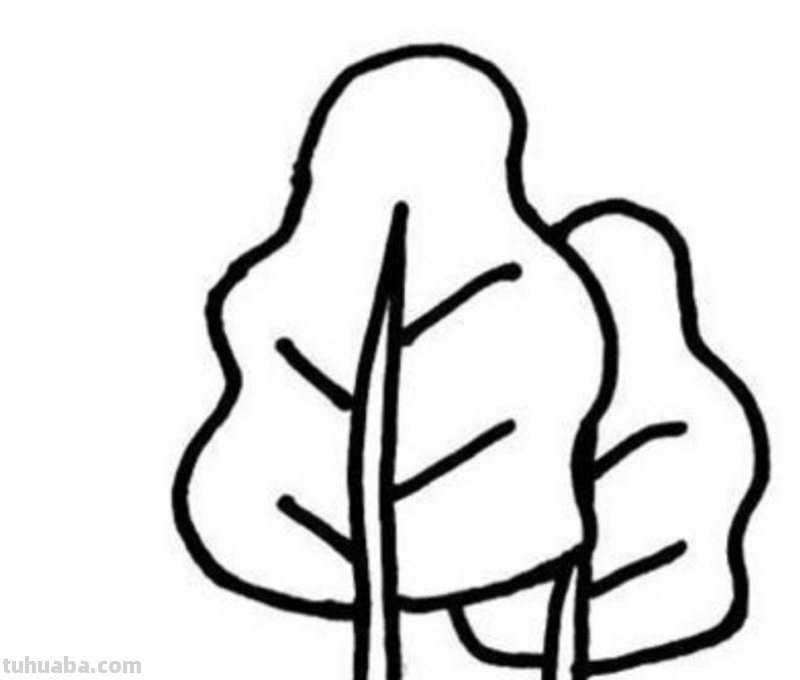 芒果树怎么画简笔画（芒果树怎么画简笔画图片）