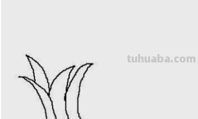 芒果树怎么画简笔画（芒果树怎么画简笔画图片）