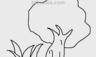 芒果树怎么画简笔画（芒果树怎么画简笔画图片）