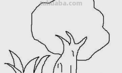 芒果树怎么画简笔画（芒果树怎么画简笔画图片）