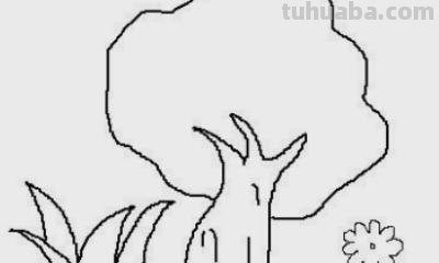 芒果树怎么画简笔画（芒果树怎么画简笔画图片）