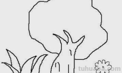 芒果树怎么画简笔画（芒果树怎么画简笔画图片）