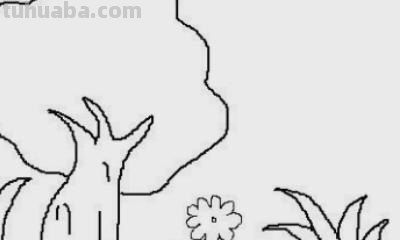 芒果树怎么画简笔画（芒果树怎么画简笔画图片）