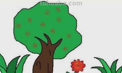 芒果树怎么画简笔画（芒果树怎么画简笔画图片）