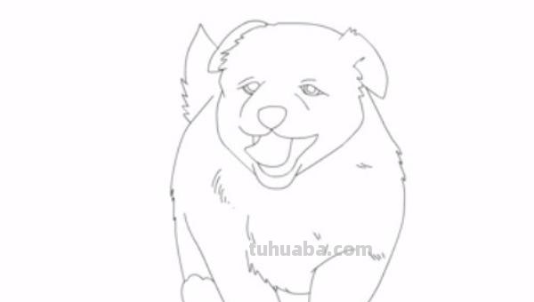 怎么画小狗不用彩铅画(怎么画小狗不用彩铅画的) 怎么画小狗不用彩铅画(怎么画小狗不用彩铅画的)