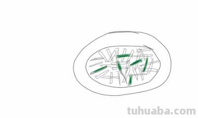 美食怎么画简笔画图片（美食怎么画简笔画图片大全）