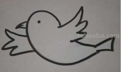 飞的小鸟怎么画简笔画（飞的小鸟怎么画简笔画图片）