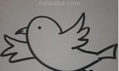 飞的小鸟怎么画简笔画（飞的小鸟怎么画简笔画图片）