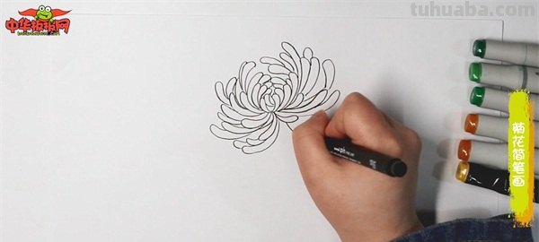 彩铅画白色菊花怎么画（彩铅画白色菊花怎么画好看）