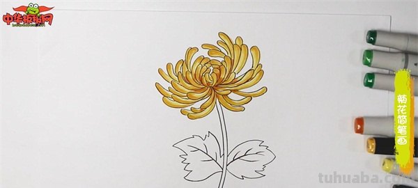 彩铅画白色菊花怎么画(彩铅画白色菊花怎么画好看) 彩铅画白色菊花怎么画(彩铅画白色菊花怎么画好看)