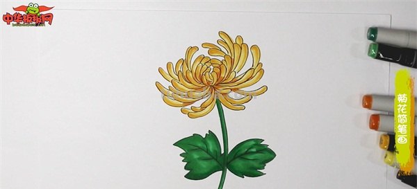 彩铅画白色菊花怎么画(彩铅画白色菊花怎么画好看) 彩铅画白色菊花怎么画(彩铅画白色菊花怎么画好看)