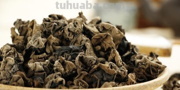 干货有哪些?干货的种类