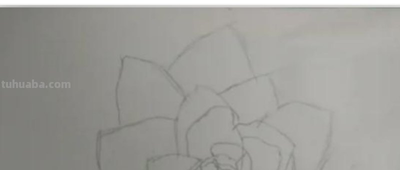 彩铅画蓝莓花怎么画(彩铅画蓝莓花怎么画好看) 彩铅画蓝莓花怎么画(彩铅画蓝莓花怎么画好看)