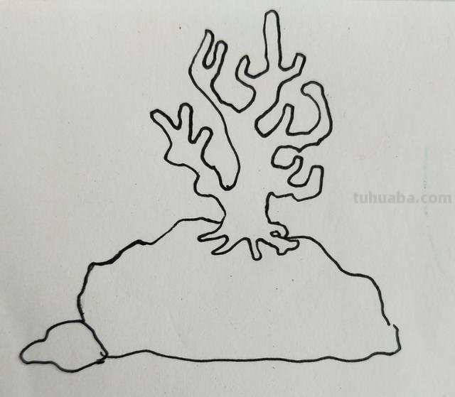 怎么画珊瑚简笔画图片(怎么画珊瑚简笔画图片大全) 怎么画珊瑚简笔画图片(怎么画珊瑚简笔画图片大全)