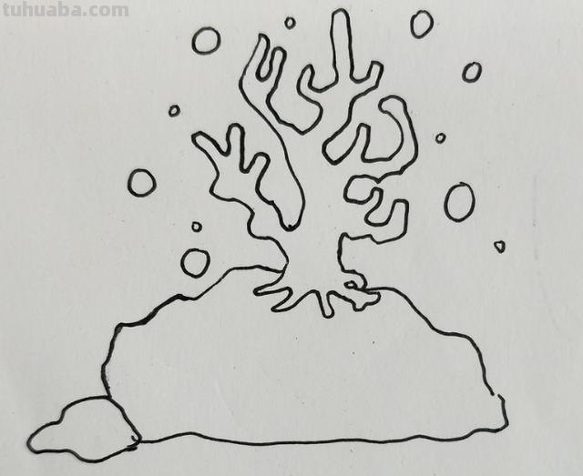 怎么画珊瑚简笔画图片(怎么画珊瑚简笔画图片大全) 怎么画珊瑚简笔画图片(怎么画珊瑚简笔画图片大全)